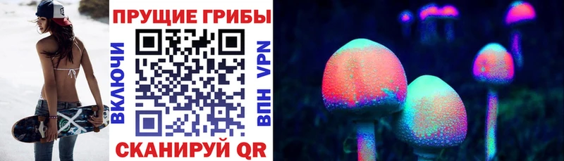 купить закладку  Нолинск  Галлюциногенные грибы GOLDEN TEACHER 